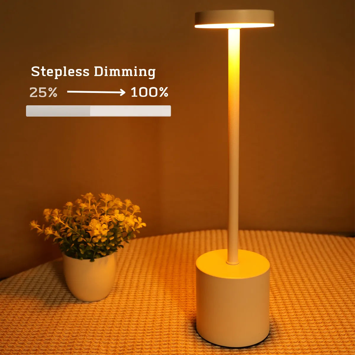 Lámpara LED Elegante y Recargable